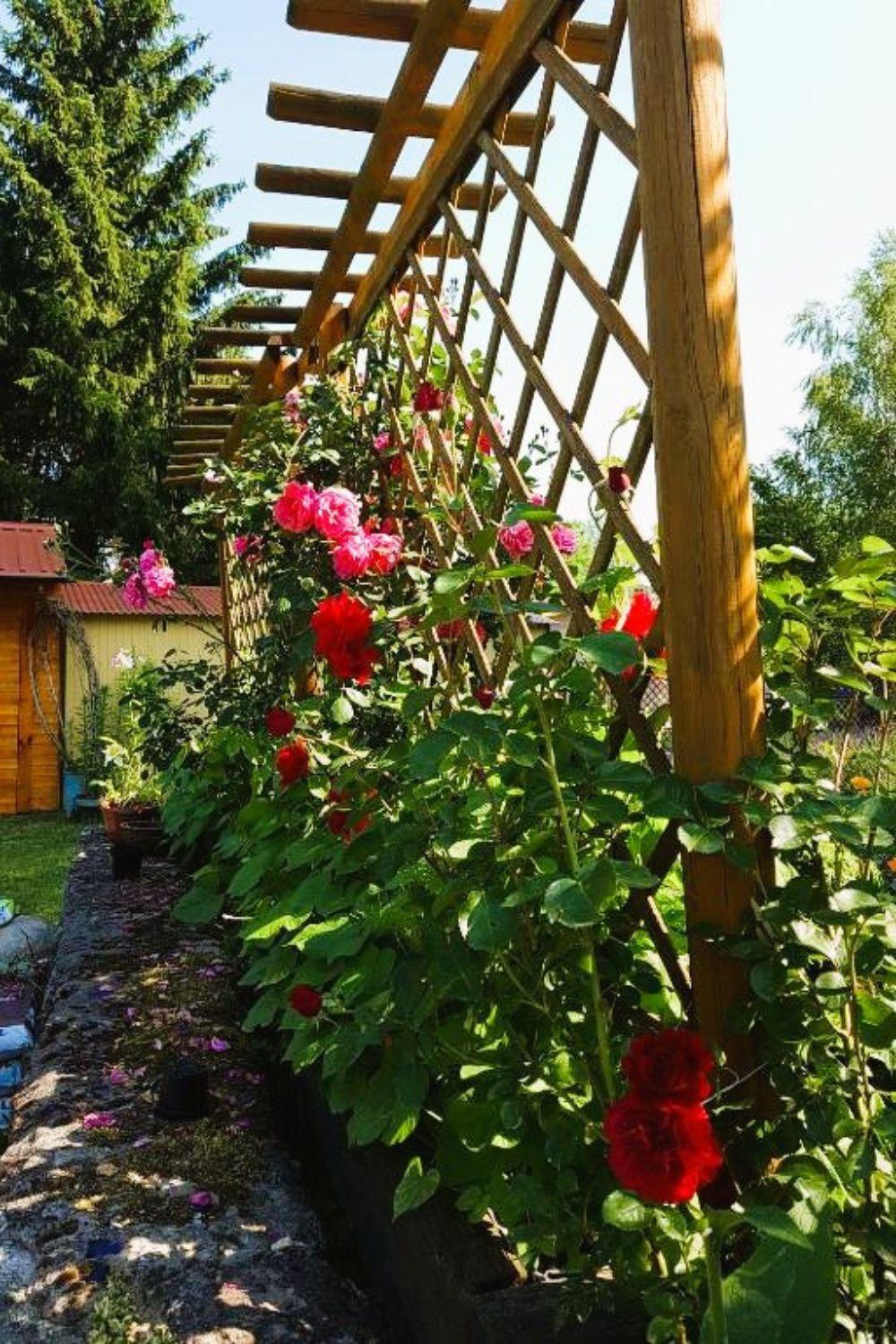 Olszyna Pod Brzoza Villa Exterior foto