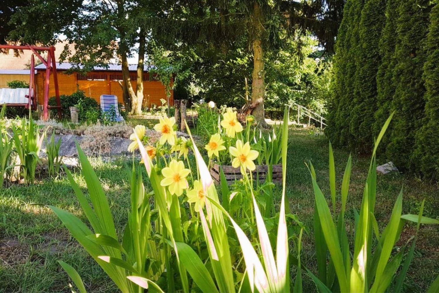 Olszyna Pod Brzoza Villa Exterior foto