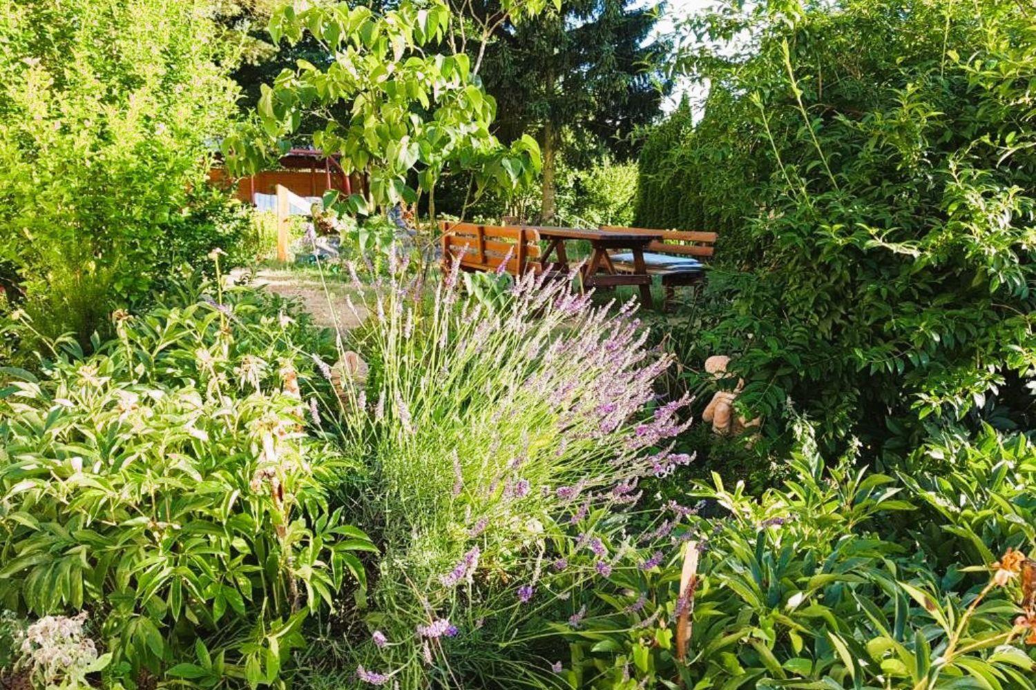 Olszyna Pod Brzoza Villa Exterior foto